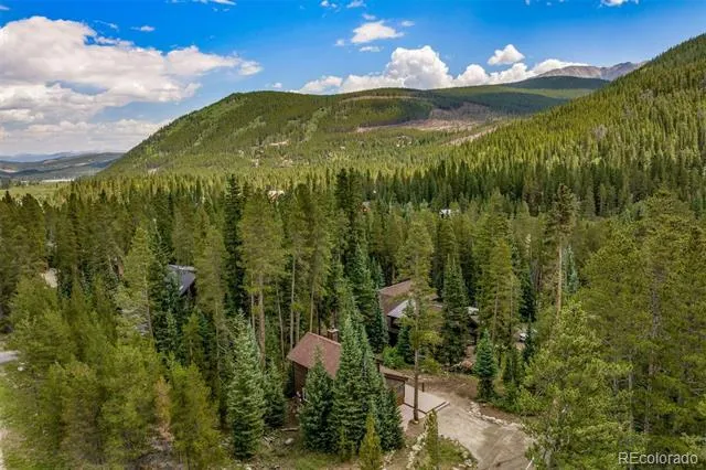17 Blue Grouse Trail Blue River, CO 80424