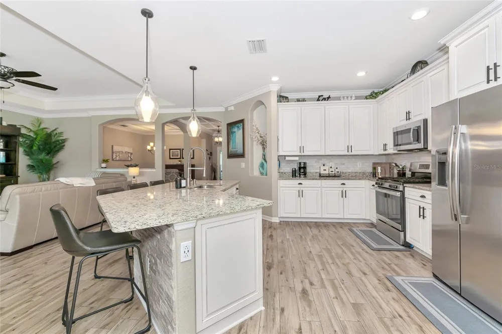 2938 DESERT PLAIN COVE Bradenton, FL 34211