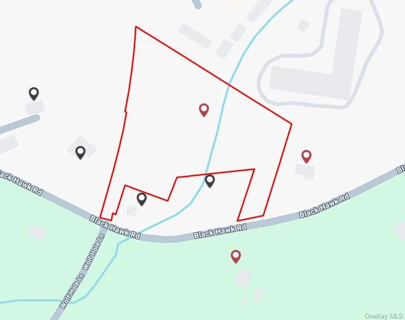 0 Black Hawk Road Pine Bush, NY 12566