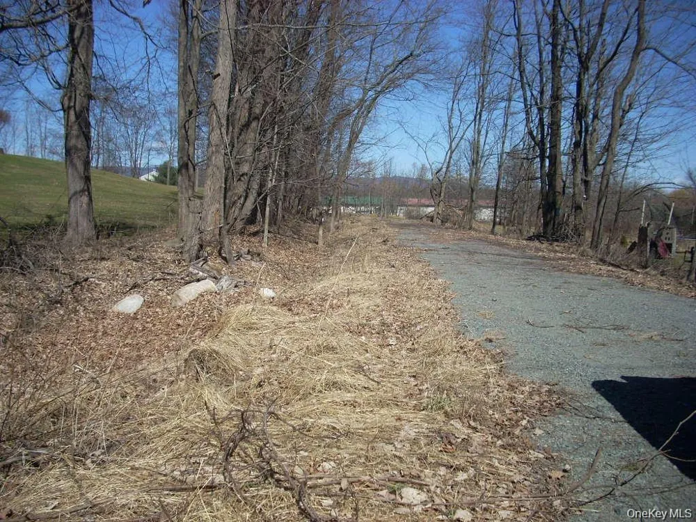 0 Black Hawk Road Pine Bush, NY 12566