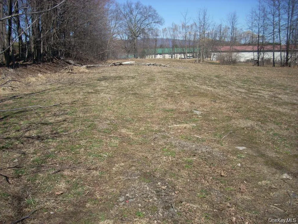 0 Black Hawk Road Pine Bush, NY 12566