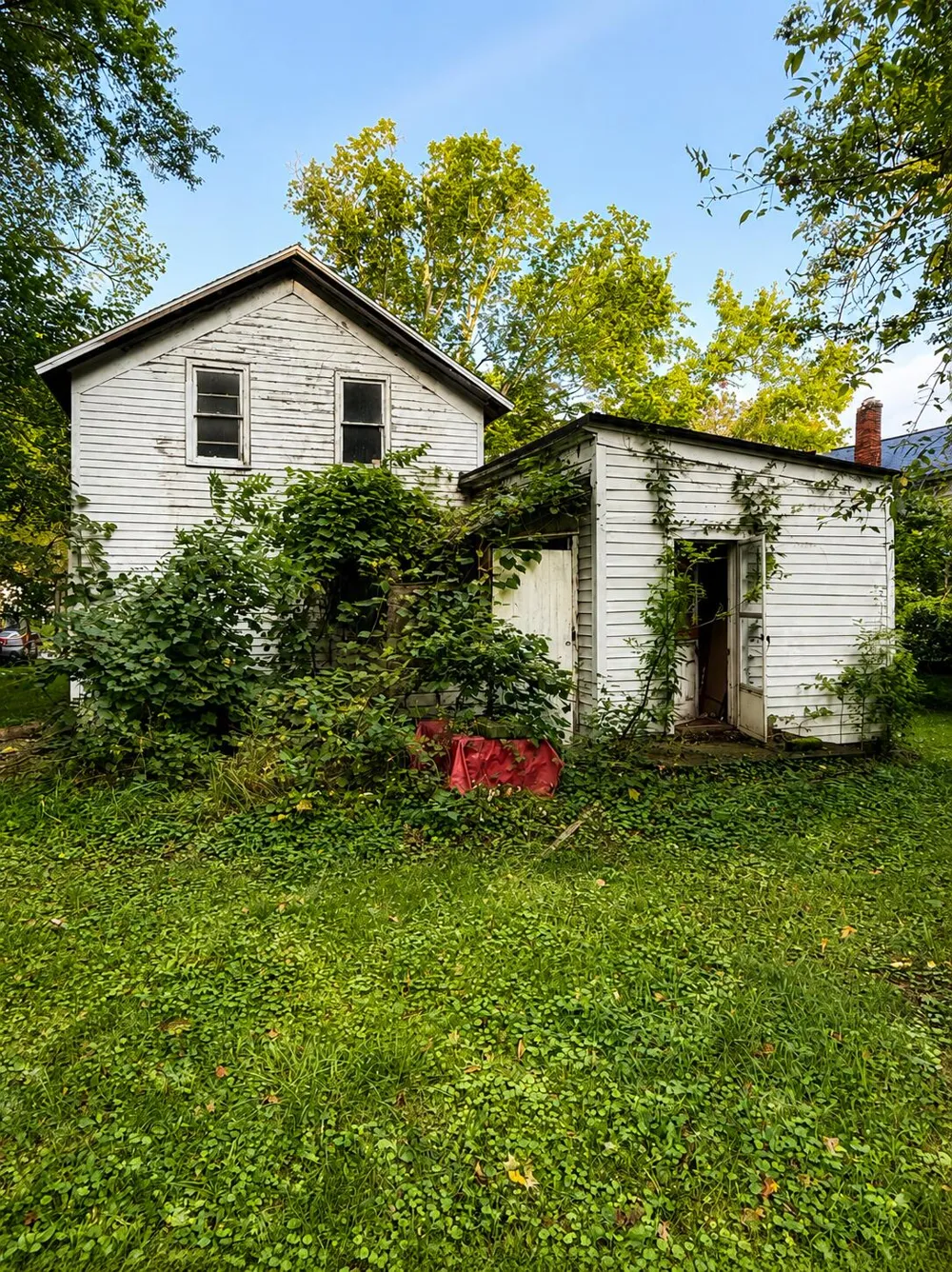 113 S Red Bud Trail Buchanan, MI 49107