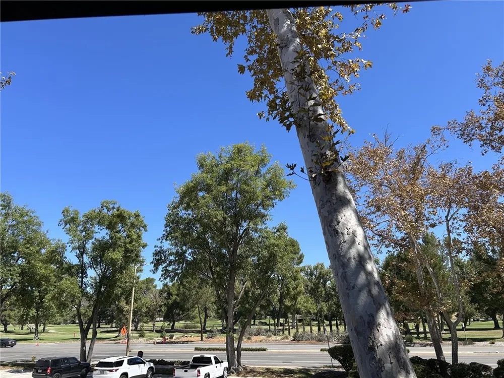 31584 Agoura Road #4 Westlake Village, CA 91361