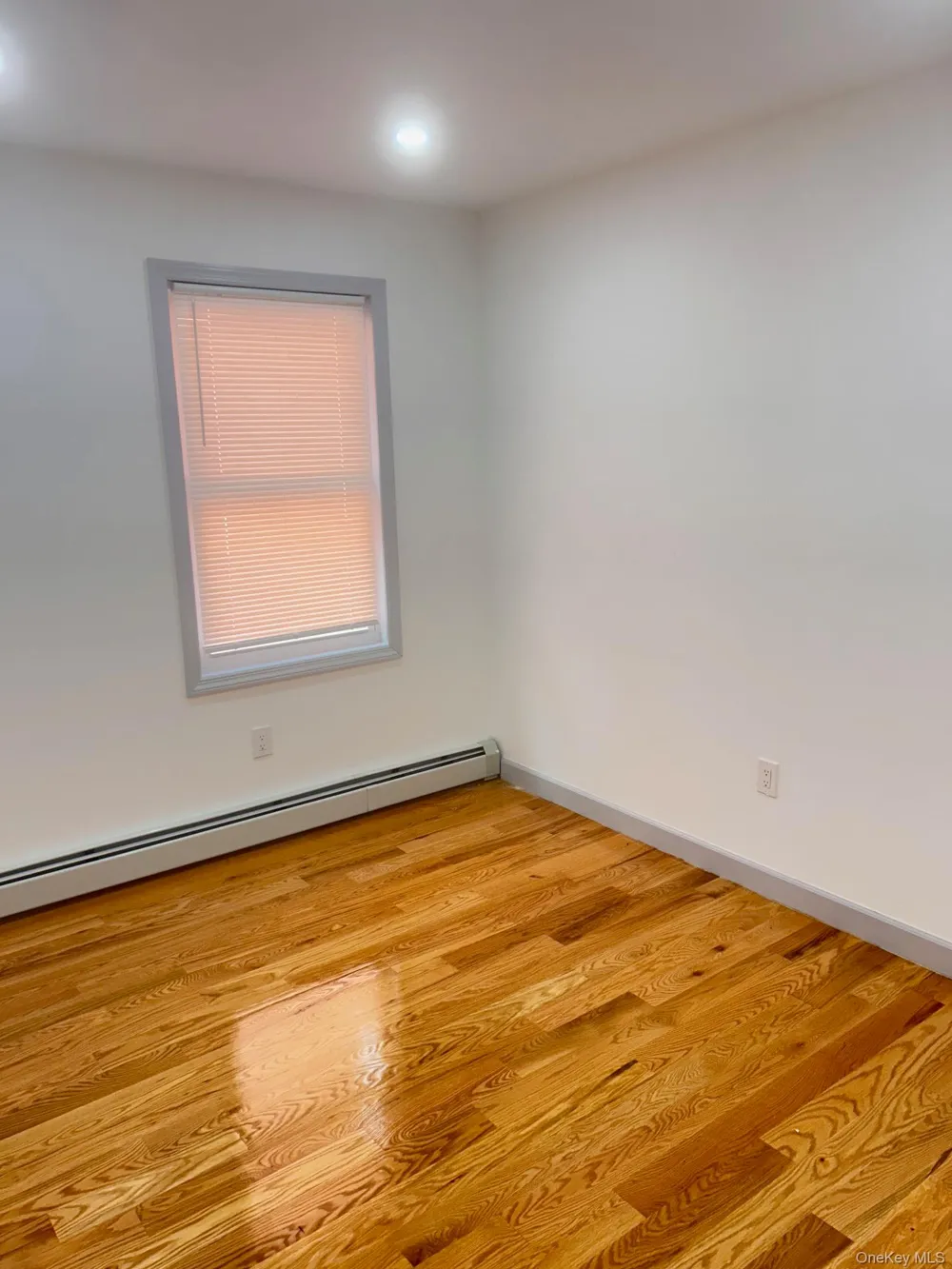 137-28 229 street 229th street #2 Laurelton, NY 11413
