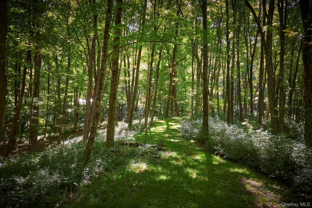 8 Old North Anson Way Stanfordville, NY 12581