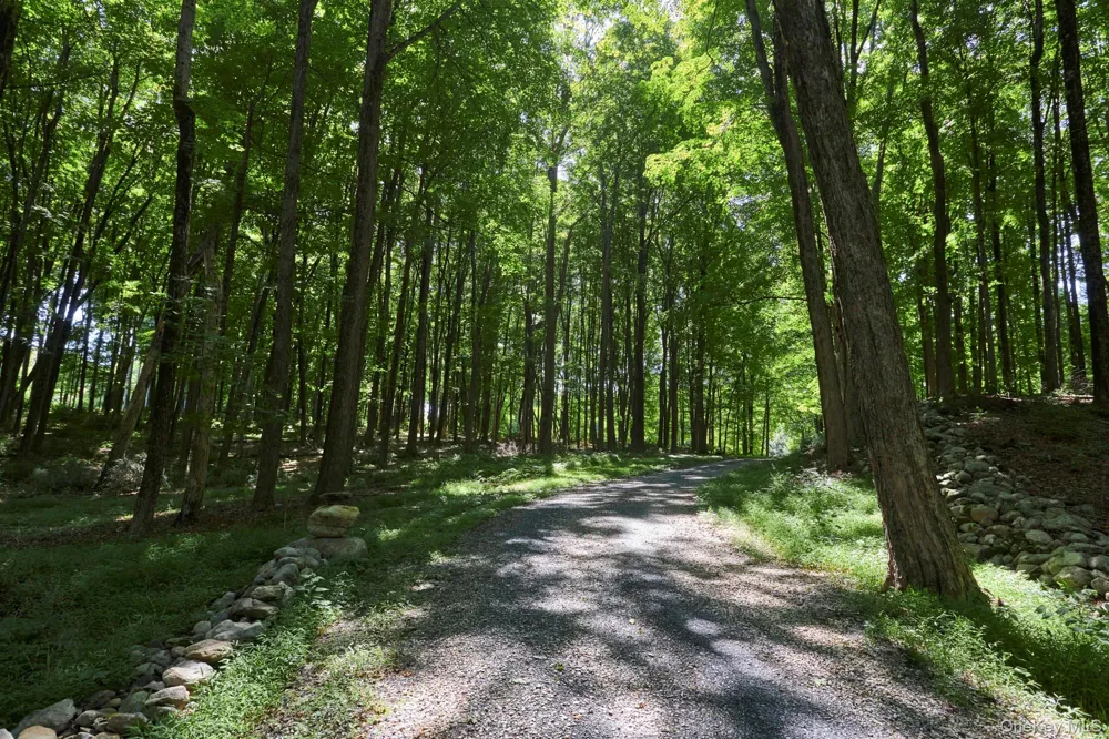 8 Old North Anson Way Stanfordville, NY 12581