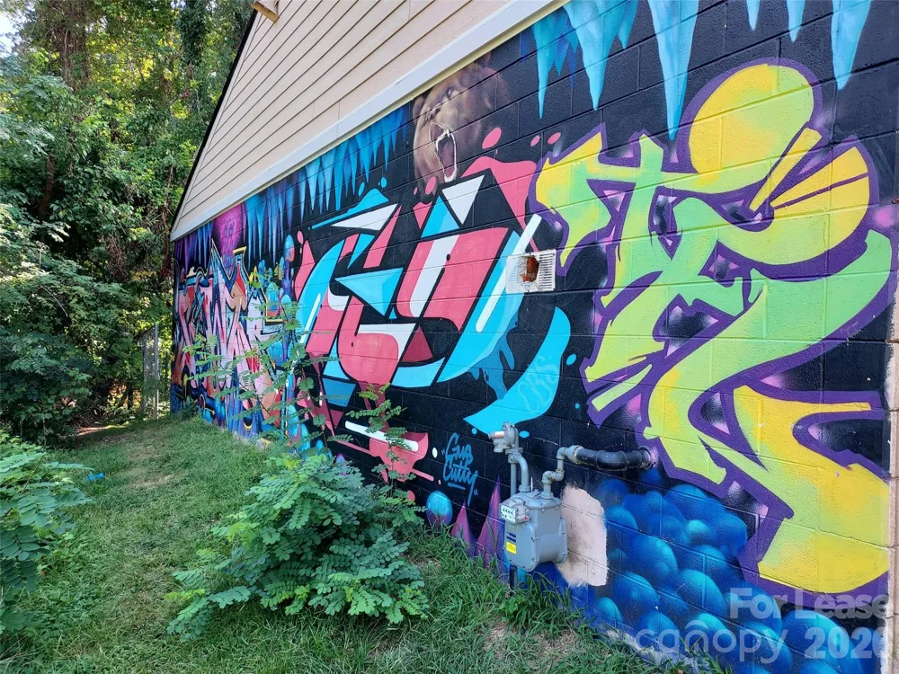 414 Depot Street #B Asheville, NC 28801