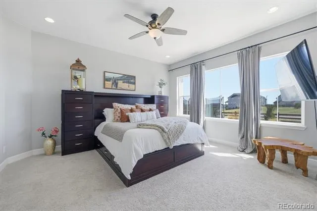 3258 Carabiner Street Castle Rock, CO 80108
