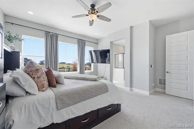 3258 Carabiner Street Castle Rock, CO 80108