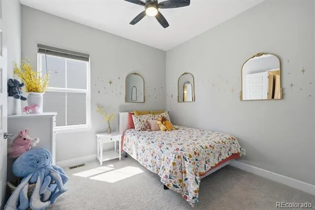 3258 Carabiner Street Castle Rock, CO 80108