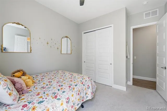 3258 Carabiner Street Castle Rock, CO 80108