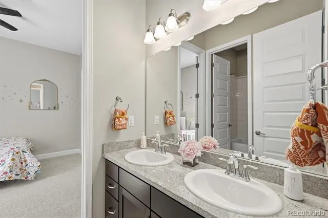 3258 Carabiner Street Castle Rock, CO 80108