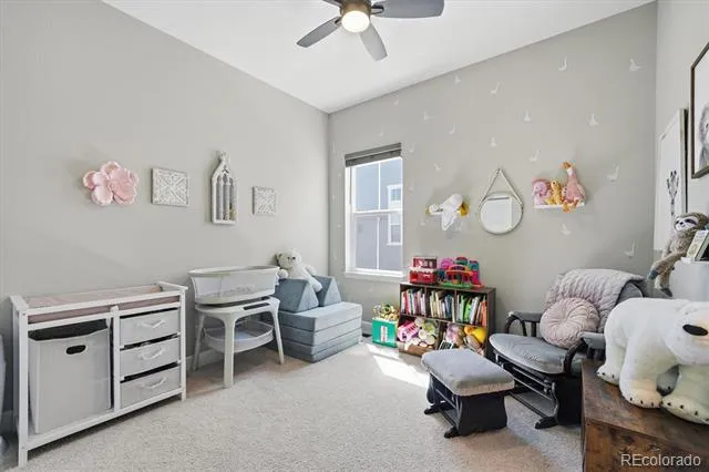 3258 Carabiner Street Castle Rock, CO 80108