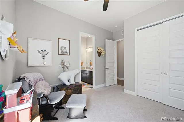 3258 Carabiner Street Castle Rock, CO 80108