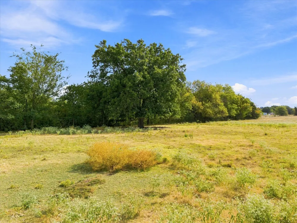 431 Fm 71 Commerce, TX 75428