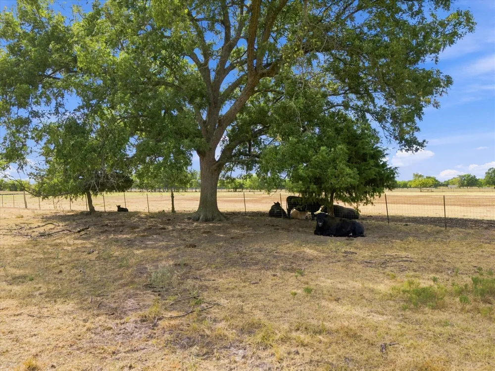 431 Fm 71 Commerce, TX 75428