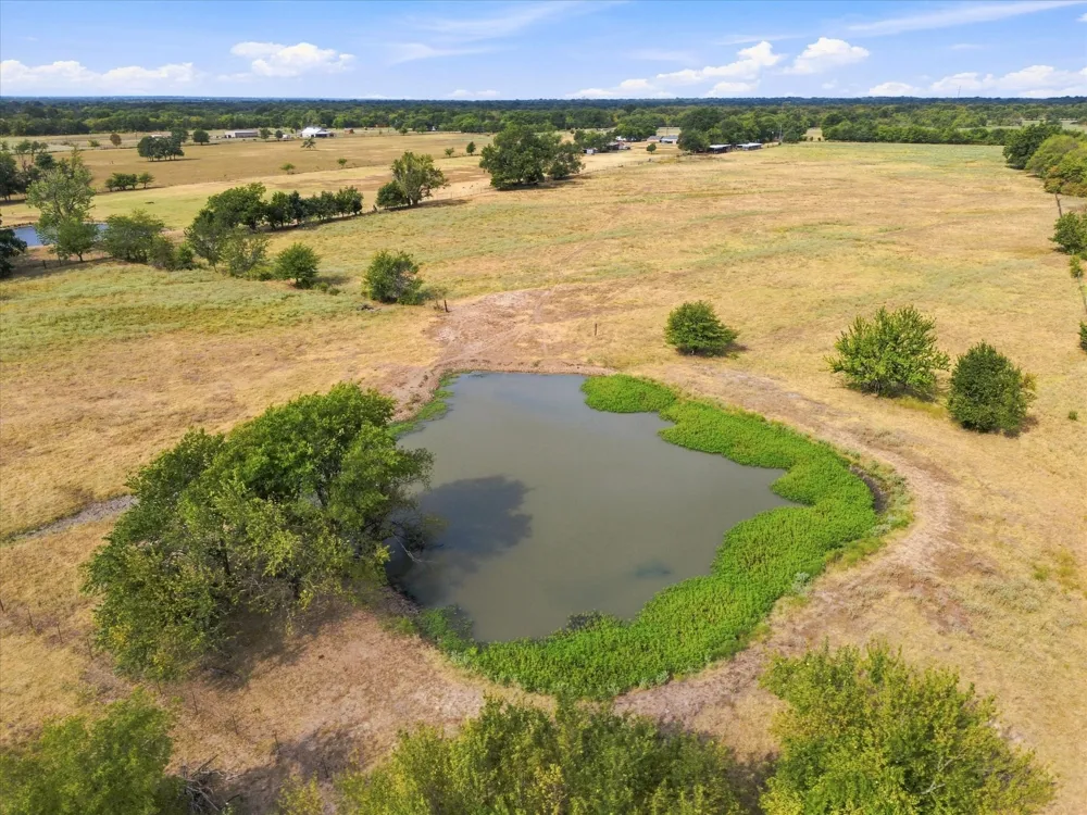 431 Fm 71 Commerce, TX 75428