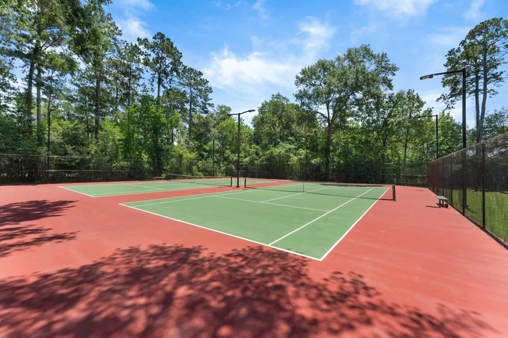 97 E Greenhill Terrace Place The Woodlands, TX 77382