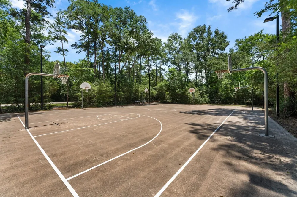 97 E Greenhill Terrace Place The Woodlands, TX 77382