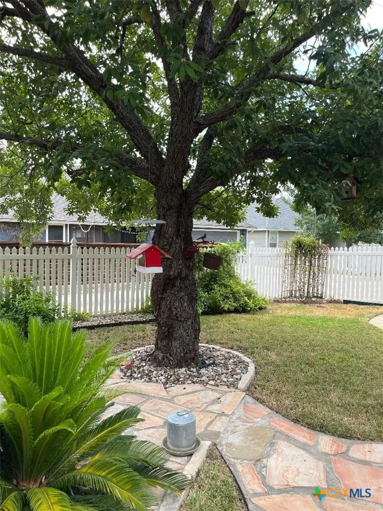 528 Jo Lynn Lane New Braunfels, TX 78130