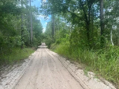 Water Road