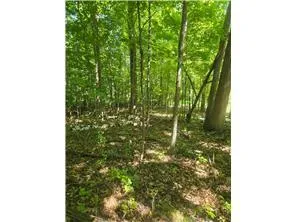 1874 Cozy Lodge Drive NE Longville, MN 56655