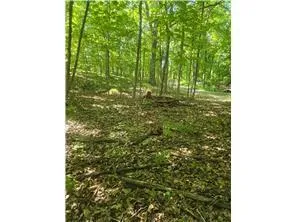 1874 Cozy Lodge Drive NE Longville, MN 56655