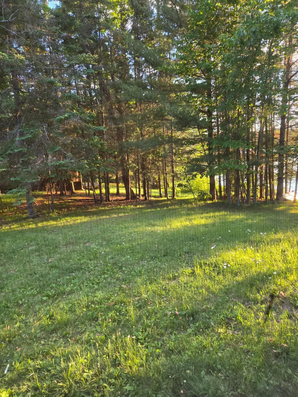1874 Cozy Lodge Drive NE Longville, MN 56655