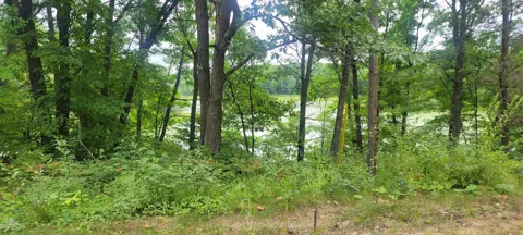 TBD Cedar Road