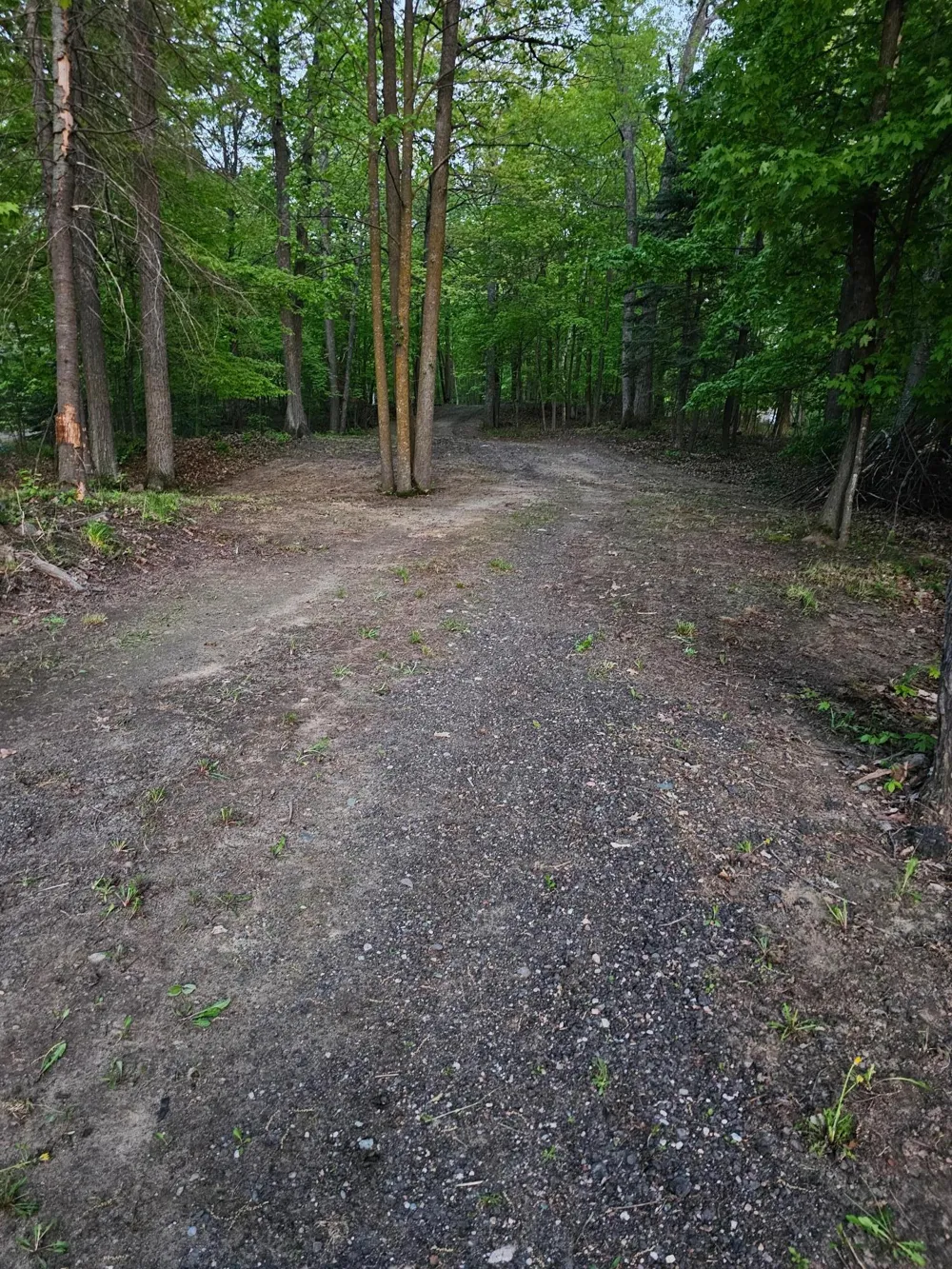 TBD Girl Lake Trail NE Longville, MN 56655