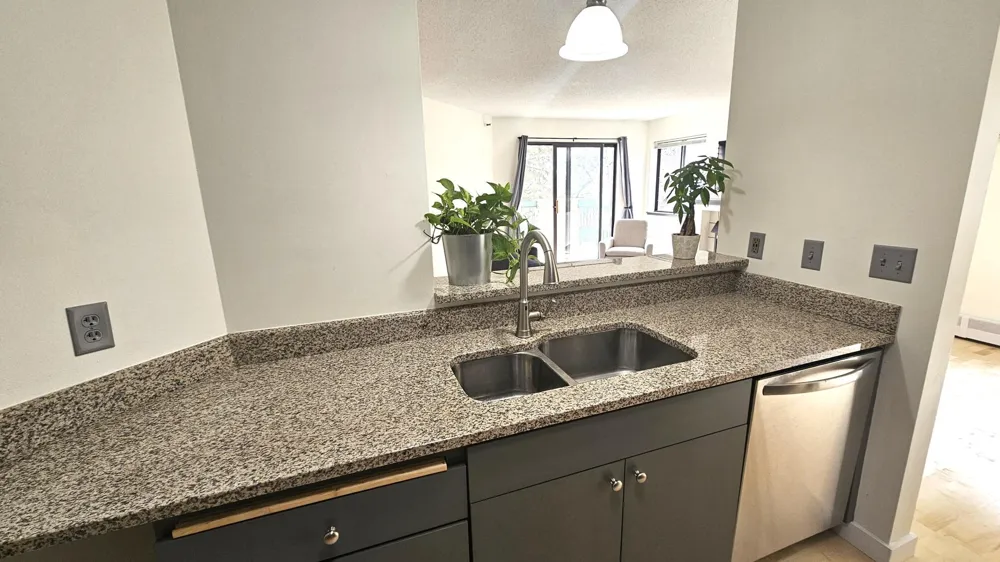 7622 York Avenue S #1205 Edina, MN 55435