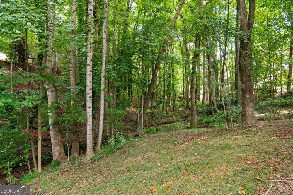 3590 Patterstone DR Johns Creek, GA 30022