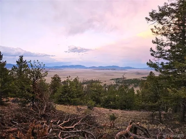 PCS#24807 Satanta Trail Hartsel, CO 80449