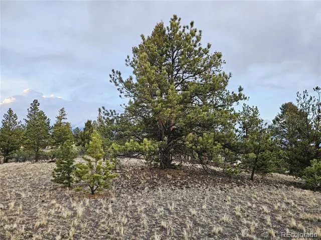 PCS#24807 Satanta Trail Hartsel, CO 80449
