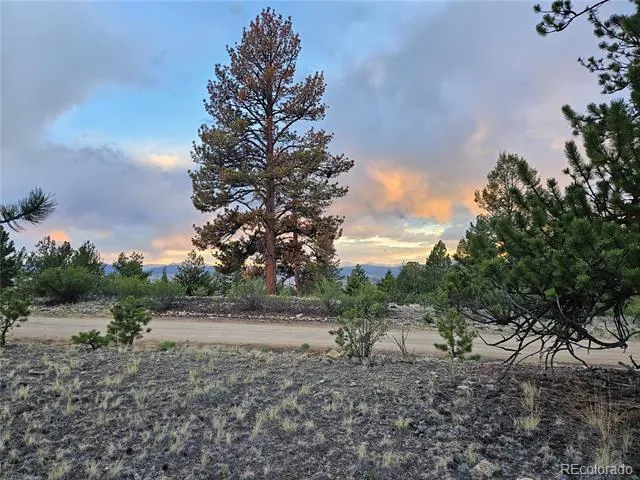 PCS#24807 Satanta Trail Hartsel, CO 80449