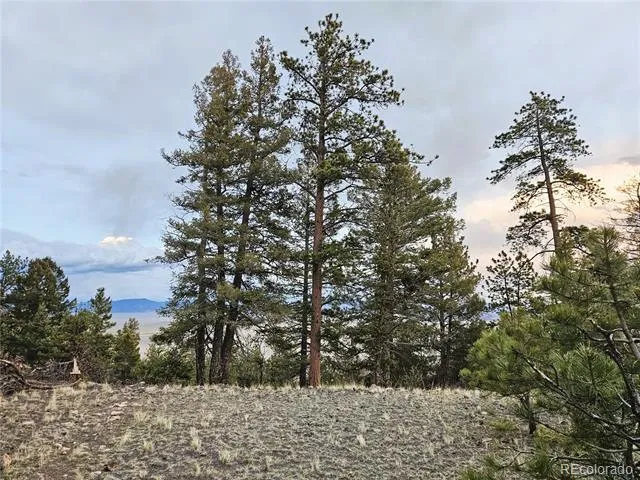 PCS#24807 Satanta Trail Hartsel, CO 80449