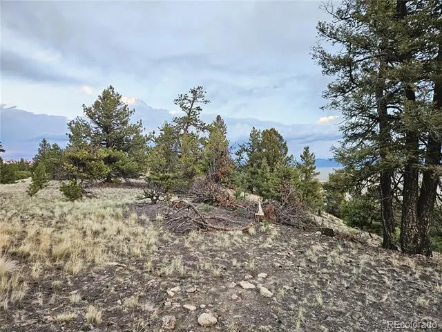 PCS#24807 Satanta Trail Hartsel, CO 80449