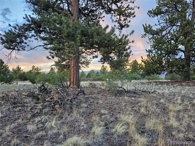 PCS#24807 Satanta Trail Hartsel, CO 80449