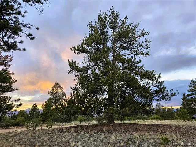 PCS#24807 Satanta Trail Hartsel, CO 80449
