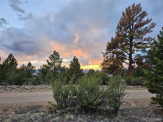 PCS#24807 Satanta Trail Hartsel, CO 80449