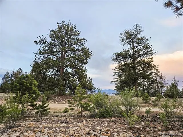 PCS#24807 Satanta Trail Hartsel, CO 80449