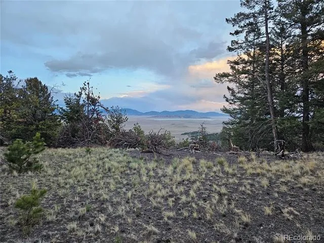 PCS#24807 Satanta Trail Hartsel, CO 80449