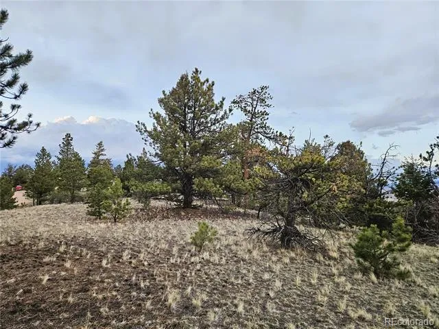 PCS#24807 Satanta Trail Hartsel, CO 80449