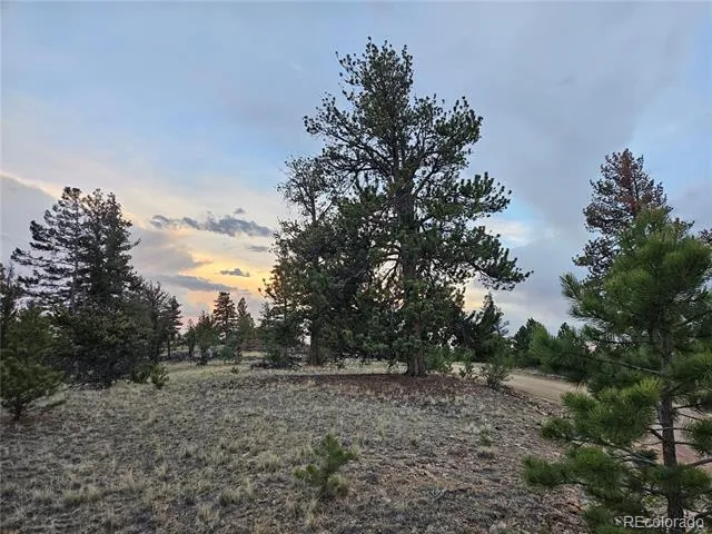 PCS#24807 Satanta Trail Hartsel, CO 80449