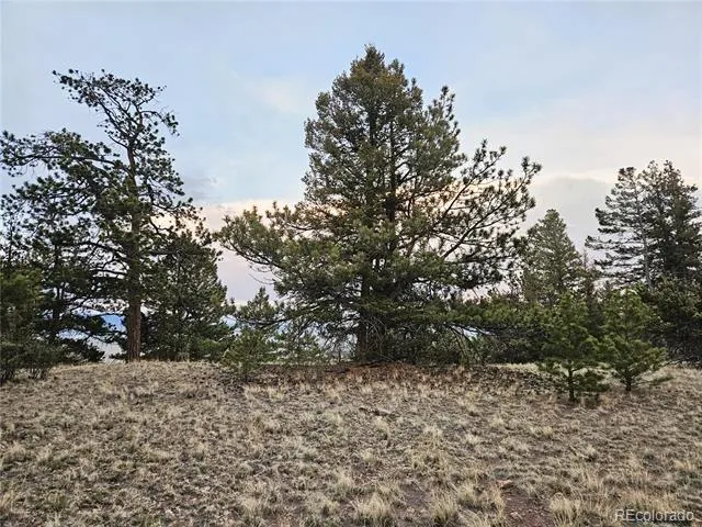 PCS#24807 Satanta Trail Hartsel, CO 80449
