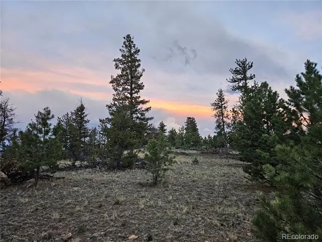 PCS#24807 Satanta Trail Hartsel, CO 80449