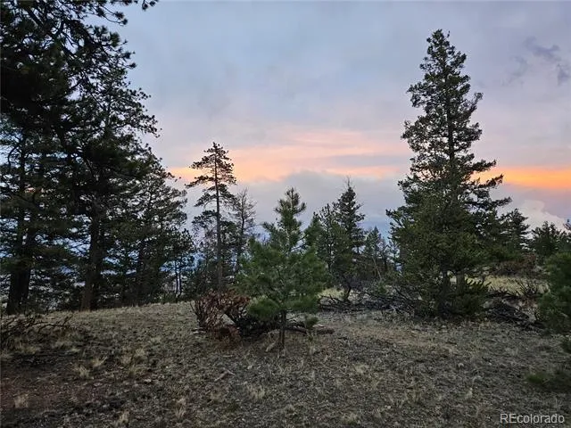 PCS#24807 Satanta Trail Hartsel, CO 80449