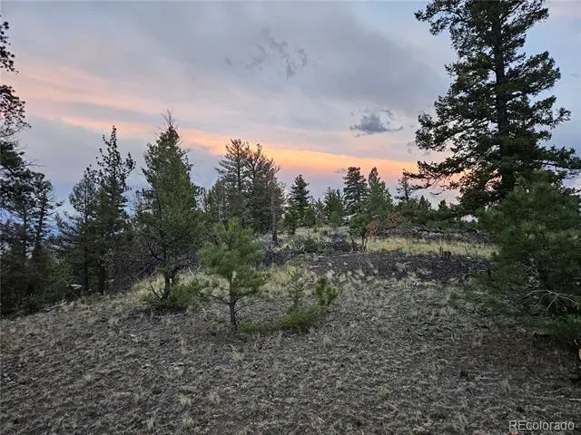PCS#24807 Satanta Trail Hartsel, CO 80449
