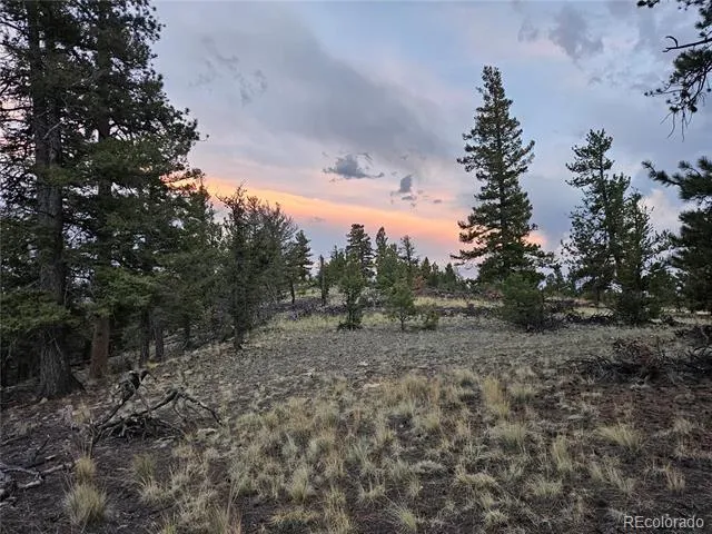 PCS#24807 Satanta Trail Hartsel, CO 80449