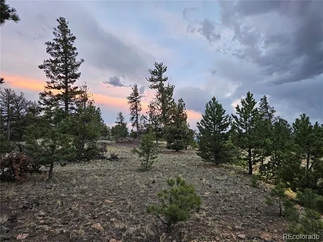 PCS#24807 Satanta Trail Hartsel, CO 80449